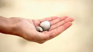 hand-4199936_1280